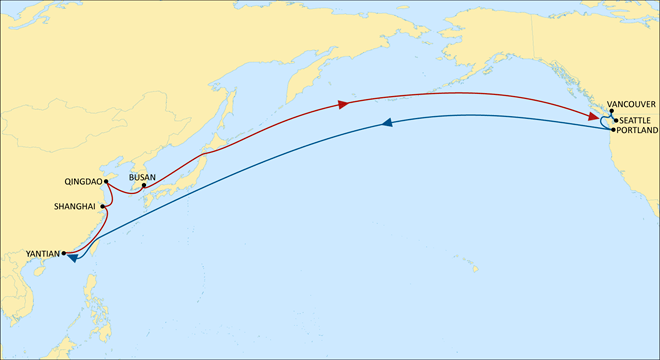 MSC升級美西北航線，青島直達西雅圖只需11天！