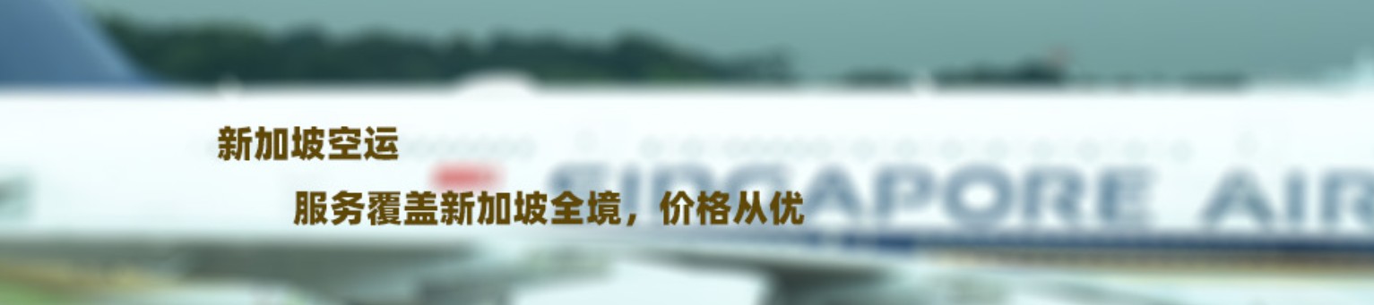 新加坡海運專線 新加坡空運價格 新加坡快遞查詢 新加坡海空鐵多式聯運國際貨運代理