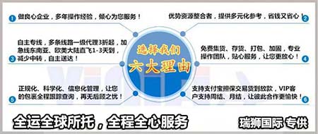 瑞獅國際經營范圍：  國際船舶運輸、國際海運無船承運、國際船舶管理；國際快遞、國內快遞（郵政企業專營業務除外）；海上、陸路、航空國際貨運代理；國內貨運代理；倉儲；貨物及技術進出口；批發業、零售業；實業投資。