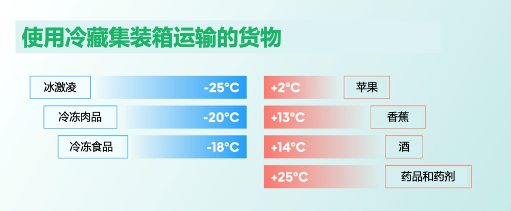 集裝箱冷柜有哪些用途？使用冷藏集裝箱運輸的常見貨物