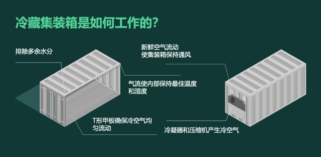 集裝箱冷柜如何運作？冷藏集裝箱工作原理 冷凍柜制冷原理